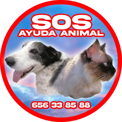SOS-Ayuda-Animal